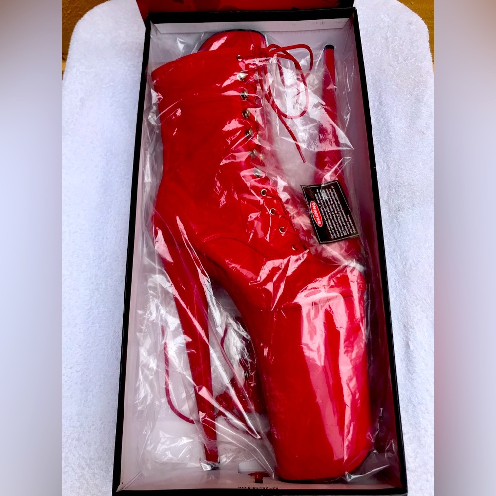 Pleaser Beyond 1020 10” heel size 9